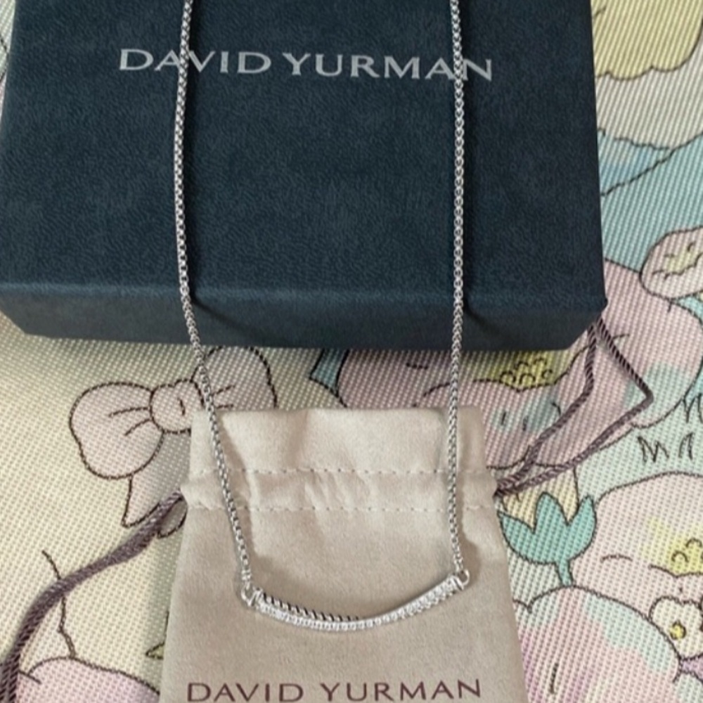 David Yurman Silver Chain Necklace